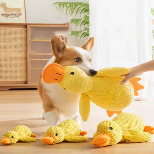 Juguete de peluche interactivo con chirrido de pato para perros